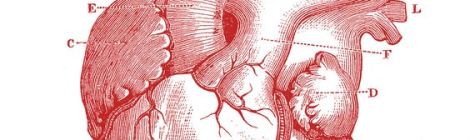 Claudia Casanova novela histórica